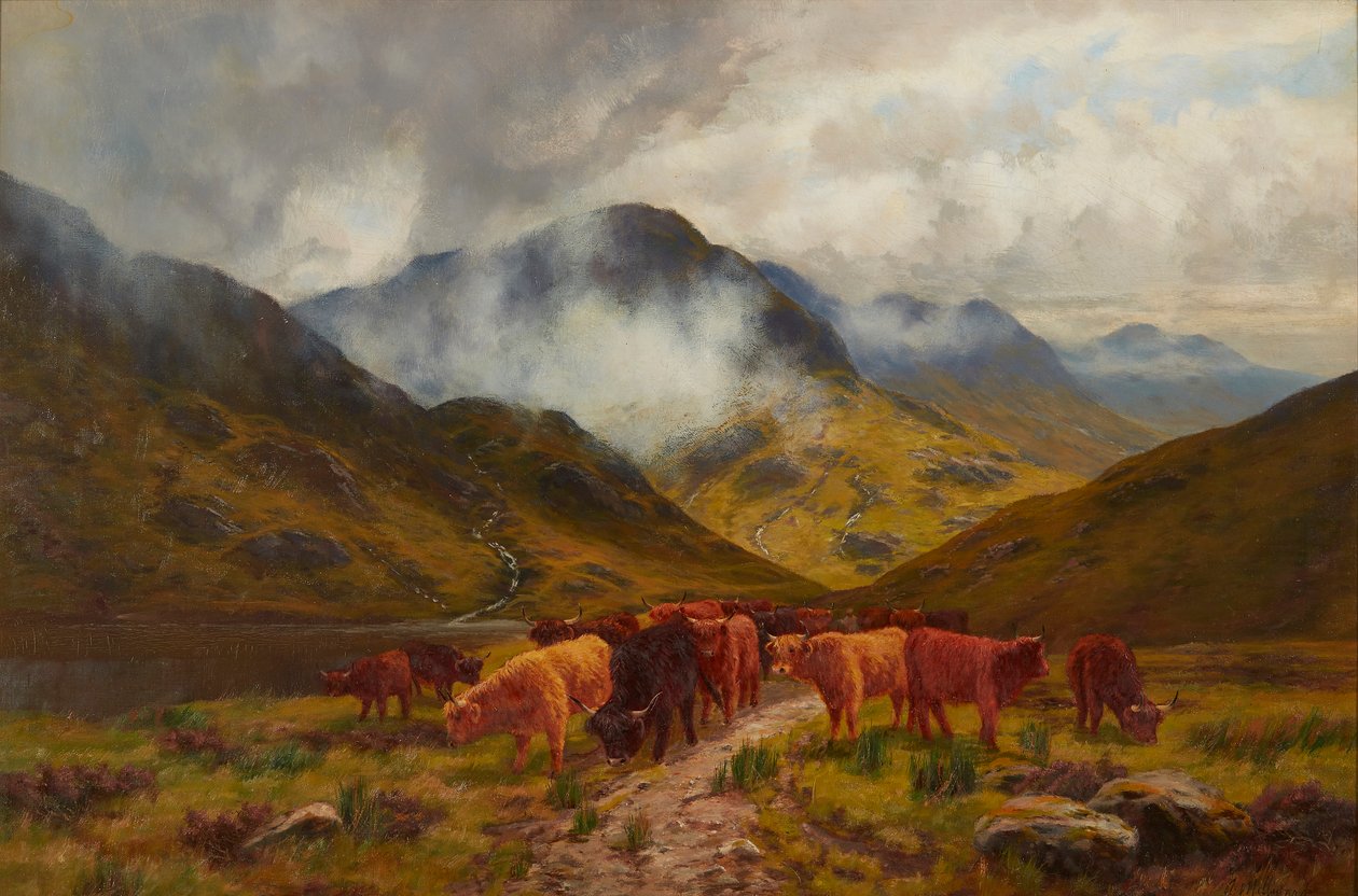 Highland Cattle (olje på lerret) av Arthur Millward
