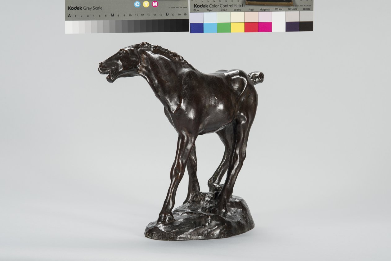 Colt (bronse) av Arthur Putnam