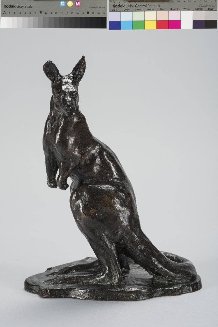 Kenguru (bronse) av Arthur Putnam