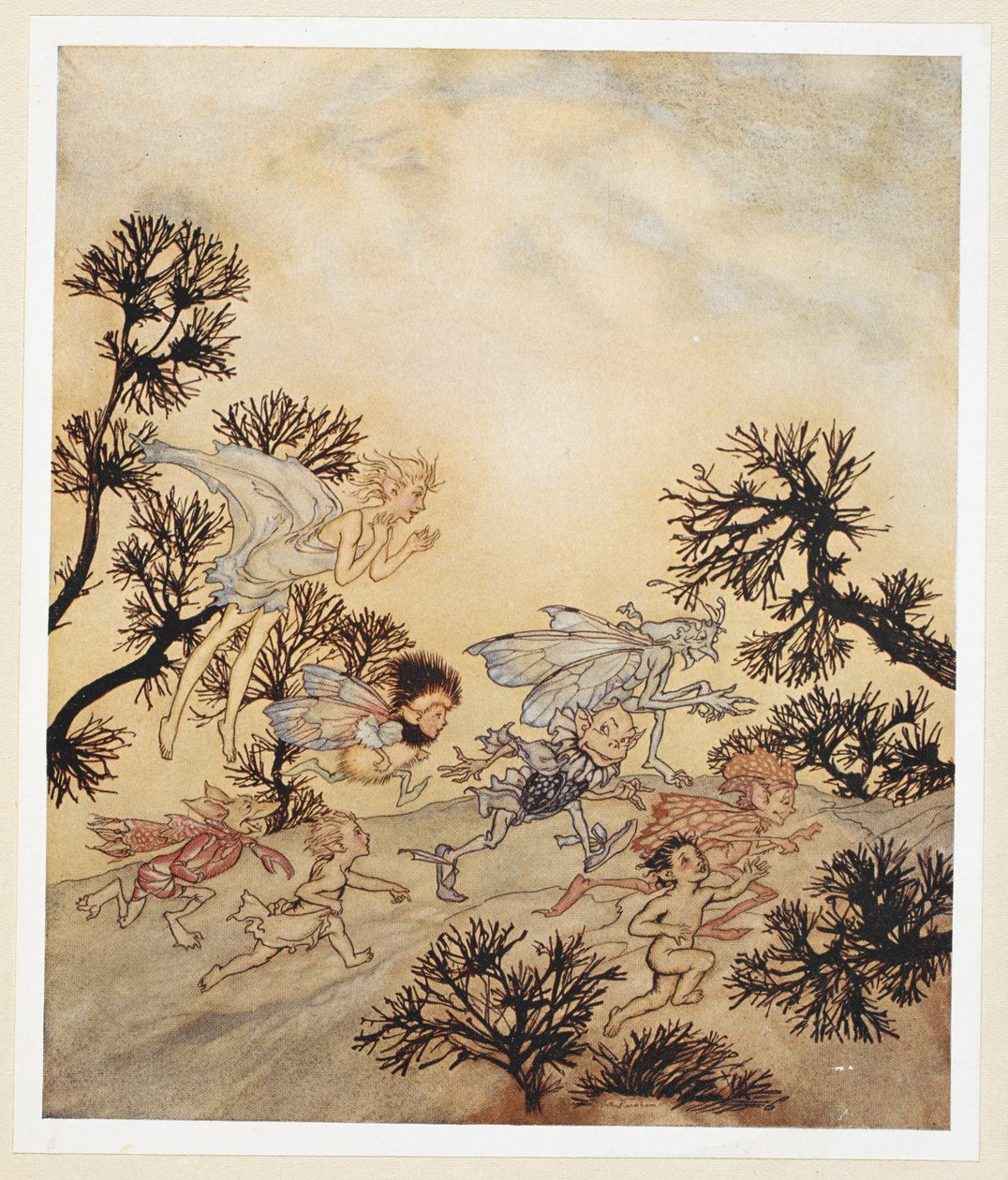 AKT IV: Scene I, linje 259 Gå anklage mine nisser at de slipe leddene deres Med tørre kramper av Arthur Rackham