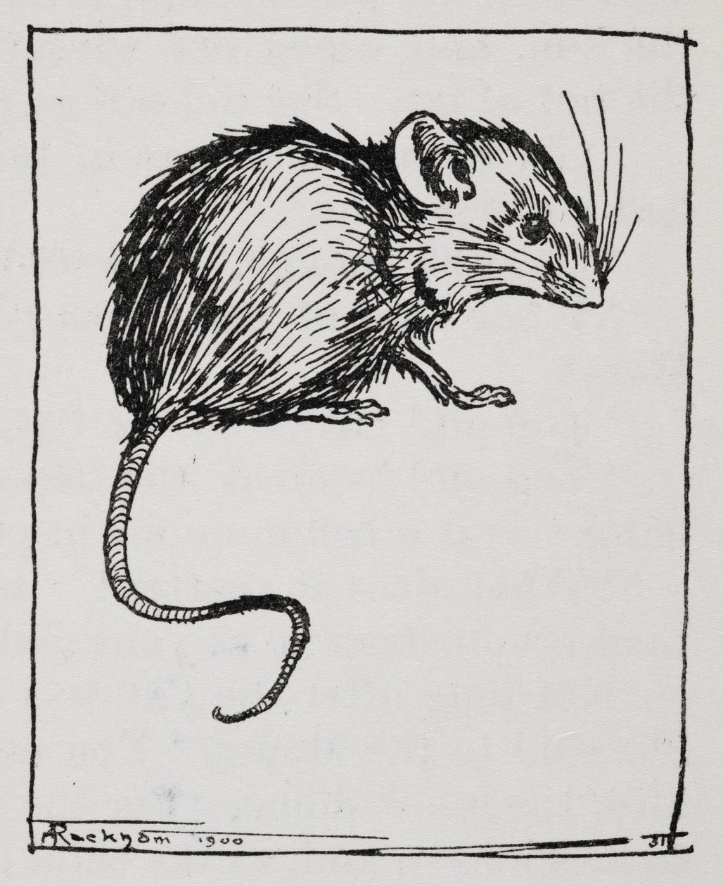 En mus av Arthur Rackham