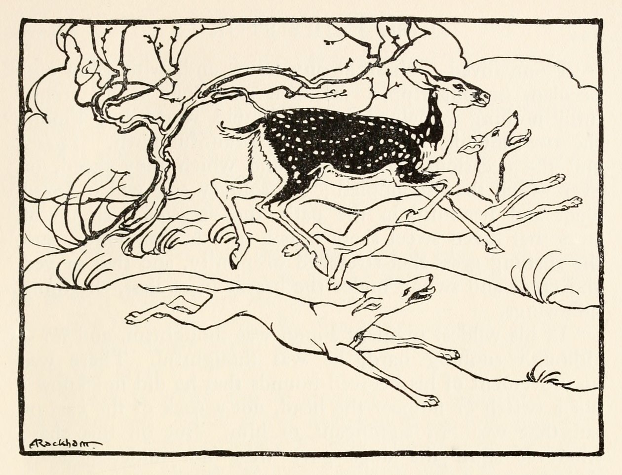 Becfola in her chariot fra The Wooing of Becfola in Irish Fairy TalesSe desc av Arthur Rackham