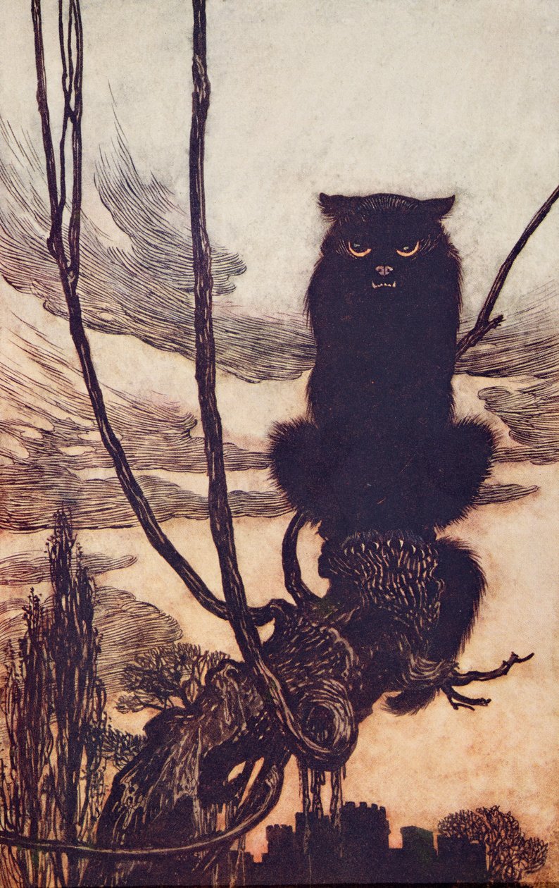 Om dagen gjorde hun seg til en katt?, fra The Fairy Tales of the Brothers Grimm, pub. 1909 av Arthur Rackham