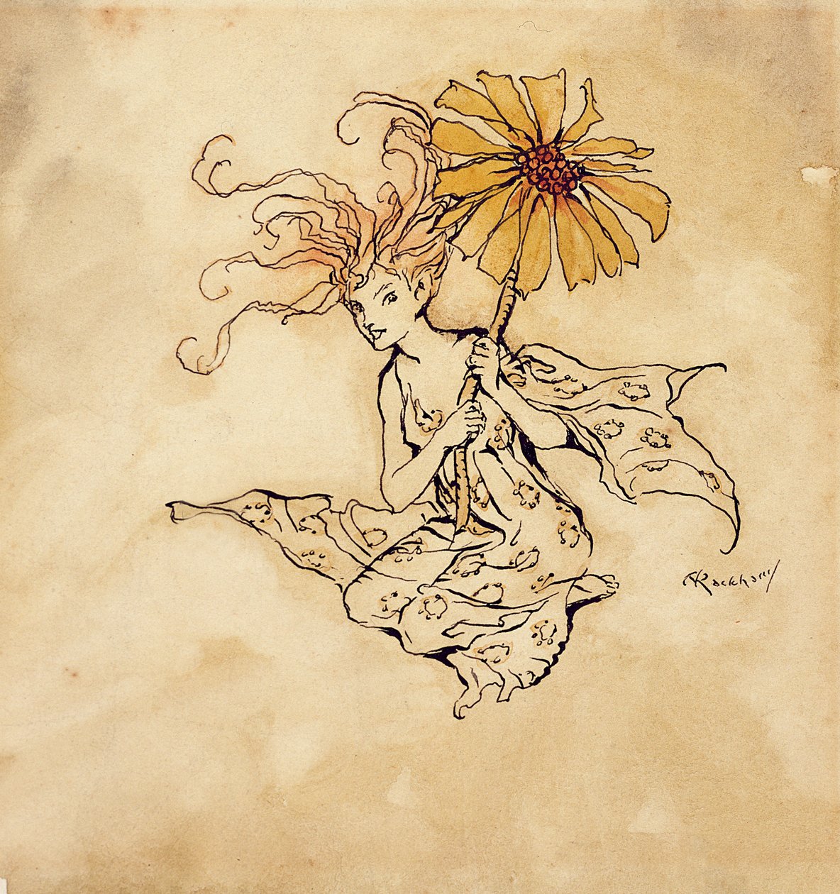 Daisy Fairy, illustrasjon fra Peter Pan i Kensington Gardens, av J.M. Barrie, utgitt 1912 (penn, blekk og wc på papir) av Arthur Rackham