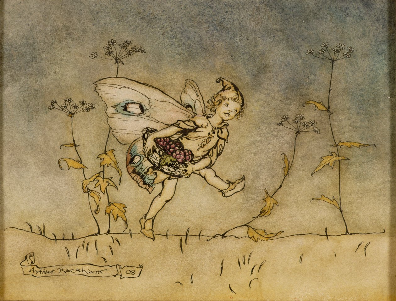 Fairy, illustrasjon fra 
