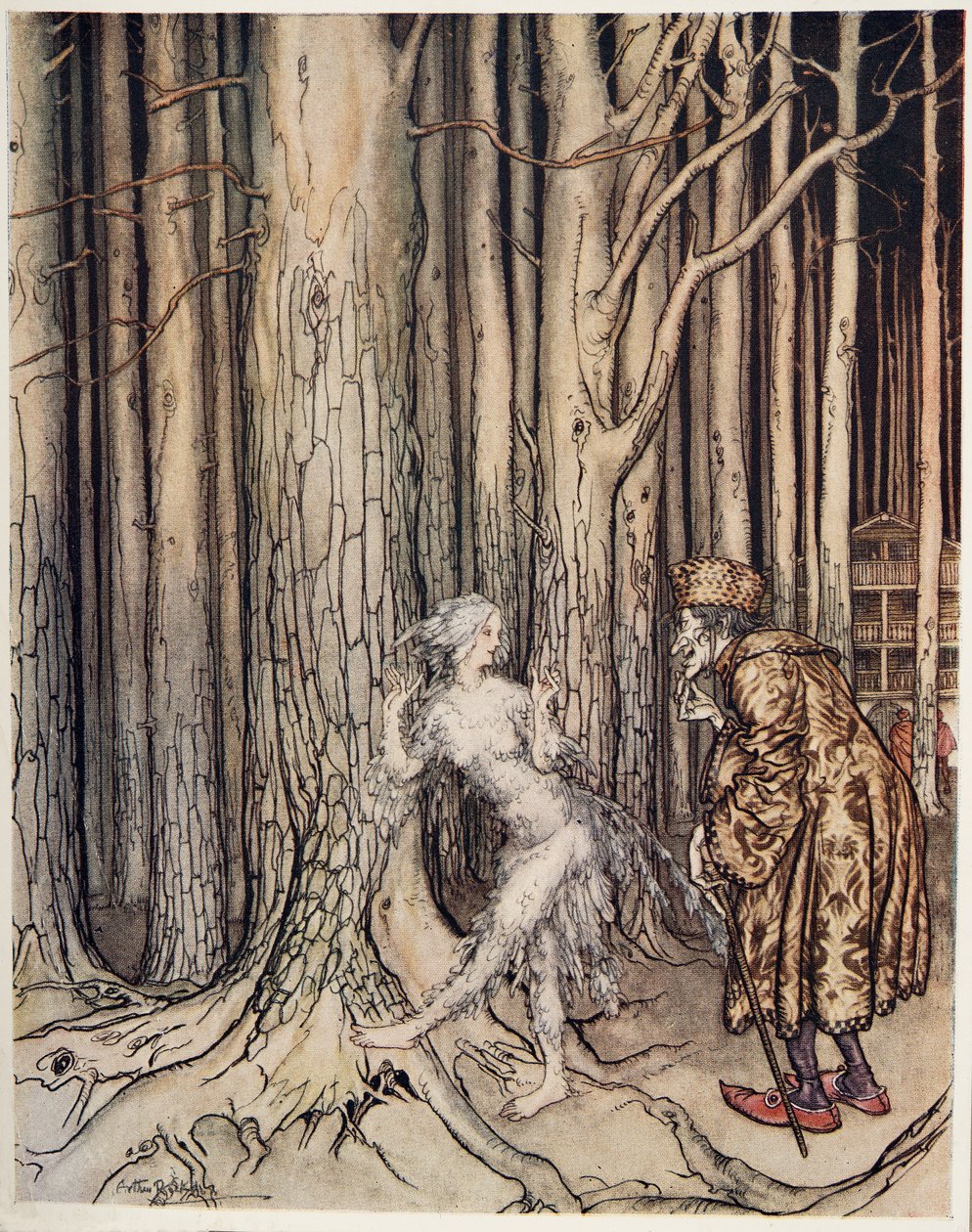 Fitchers Bird, fra Little Brother & Little Sister and Other Tales av brødrene Grimm, pub.1917 av Arthur Rackham