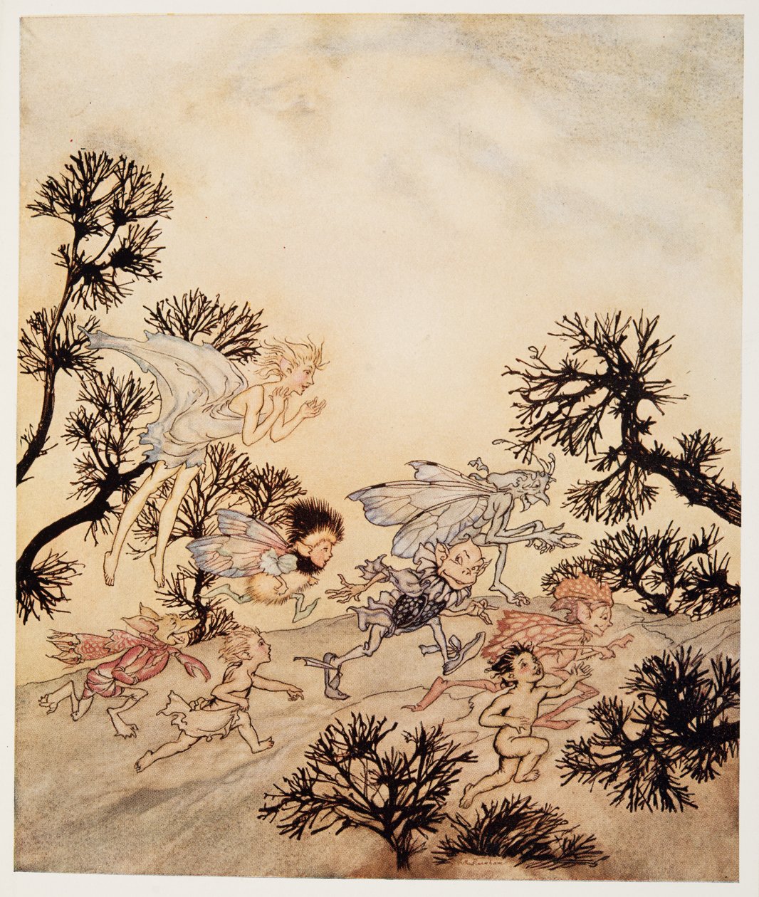 Gå og anklage nissene mine for at de sliper leddene sine med tørre kramper, illustrasjon fra William Shakespeares The Tempest, pub. 1926 av Arthur Rackham