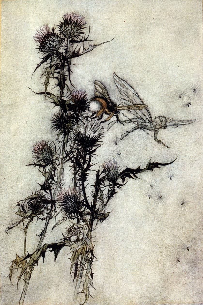 Illustrasjon av Arthur RACKHAM (1867-1939) for Drømmen om en sommernatt av William SHAKESPEARE av Arthur Rackham