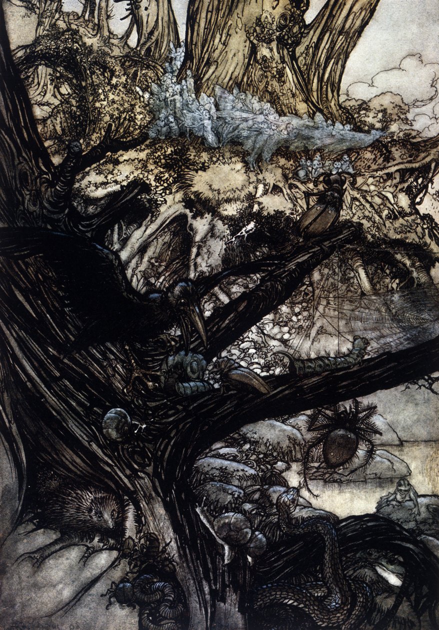 Illustrasjon av Arthur RACKHAM (1867-1939) for Drømmen om en sommernatt av William SHAKESPEARE av Arthur Rackham