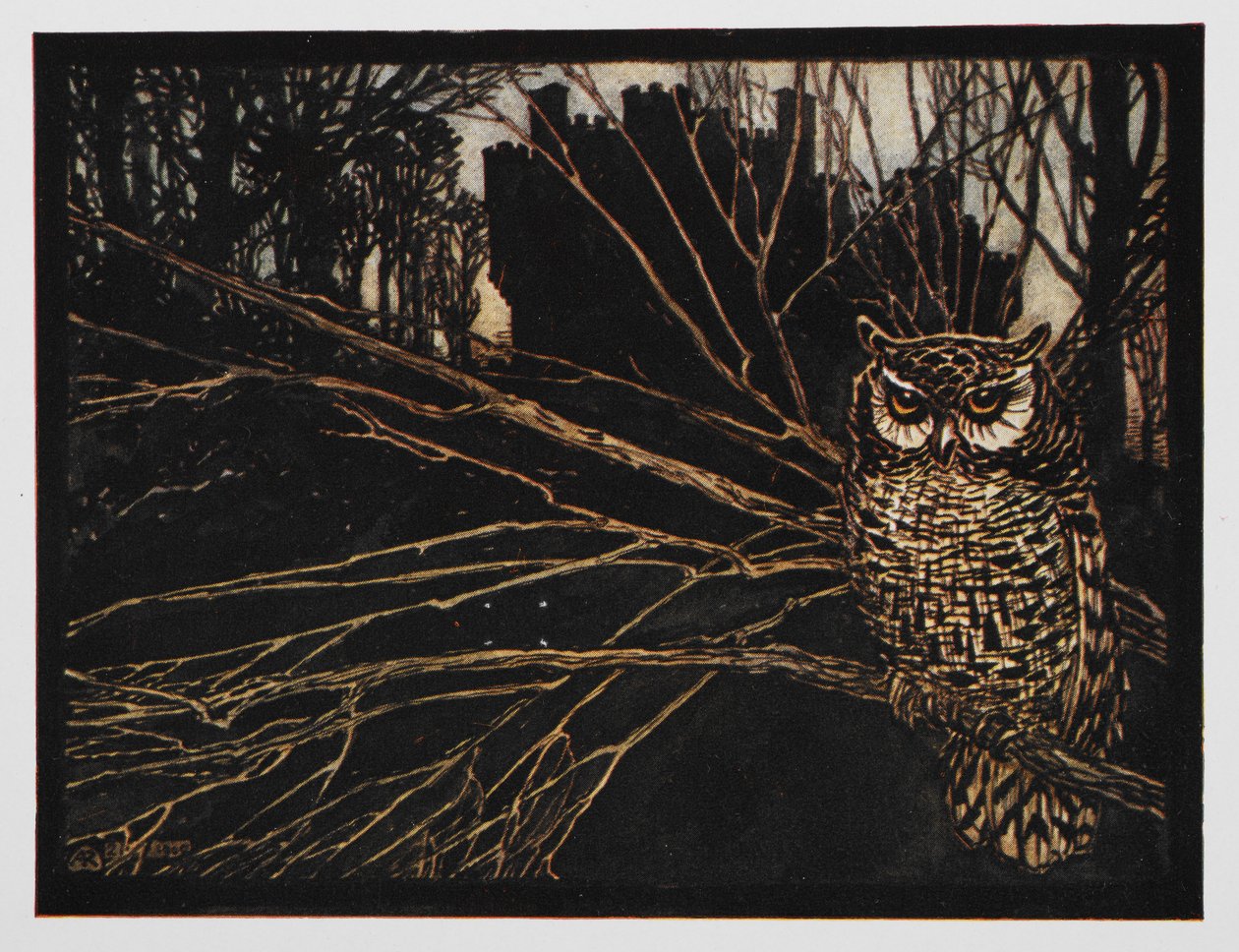 Illustrasjon fra Jorinda og Joringel av en skrikugle. av Arthur Rackham