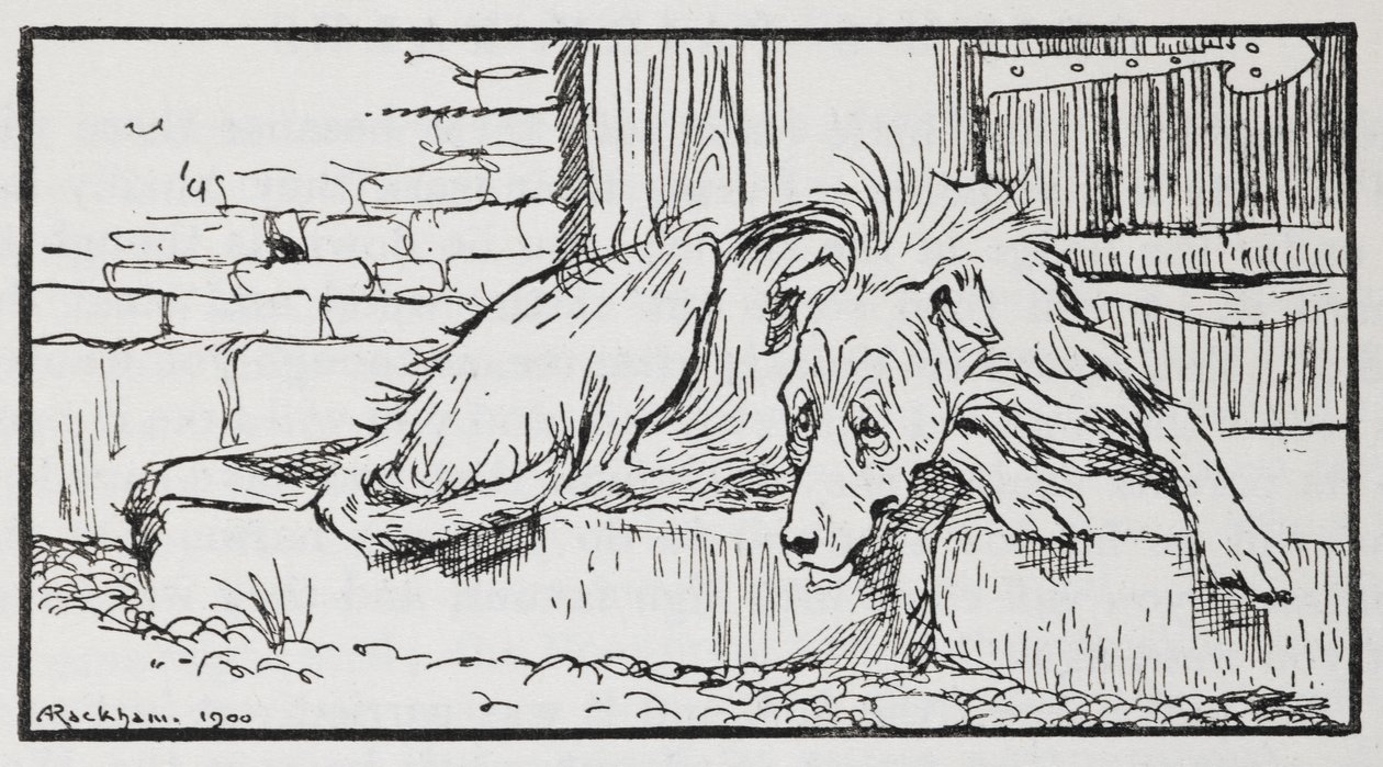 Illustrasjon fra Old Sultan of a Dog. av Arthur Rackham