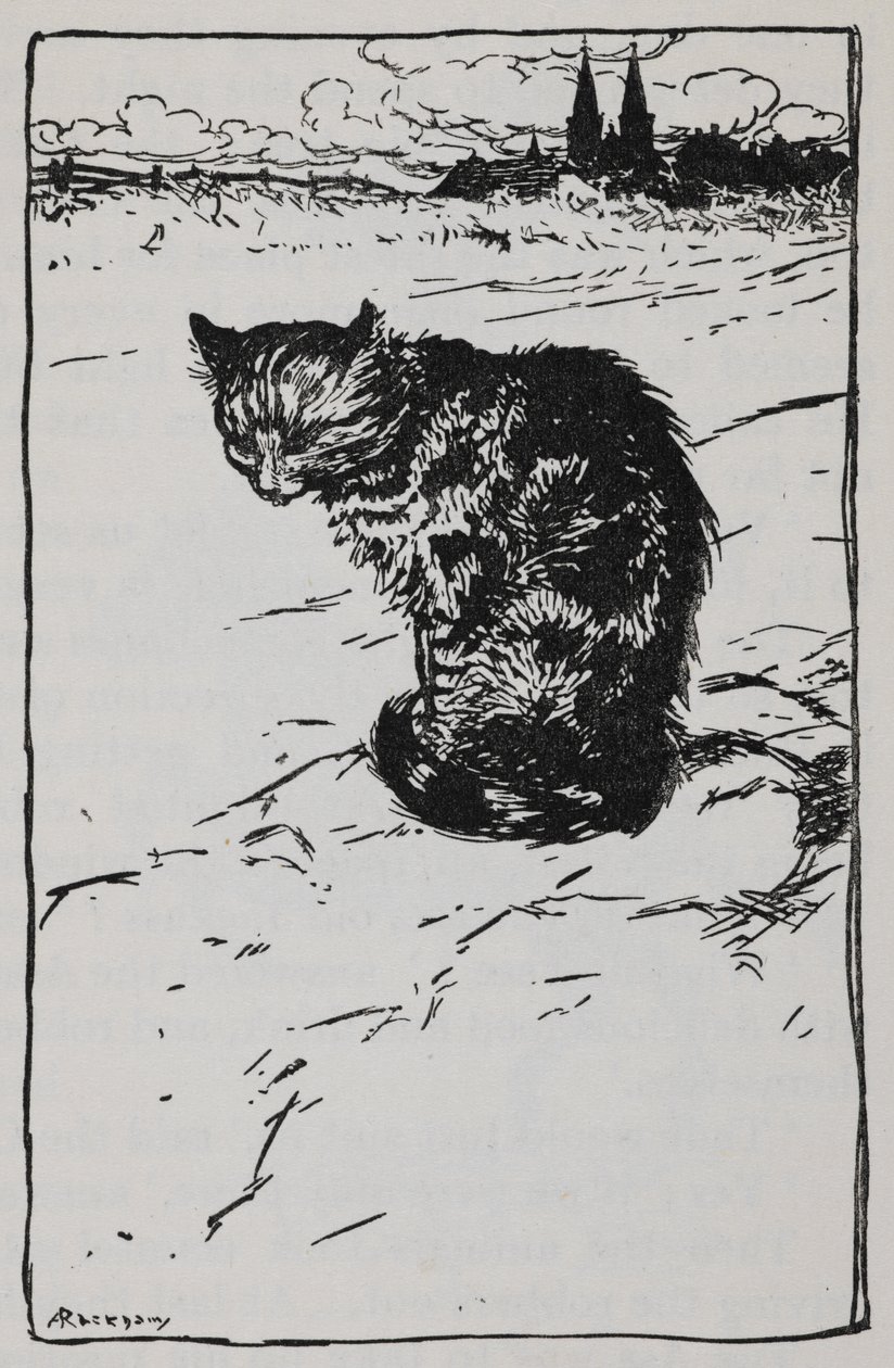 Illustrasjon av en katt fra Bremen Town Musicians. av Arthur Rackham