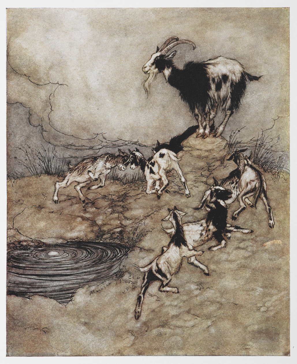 Illustrasjon av en geit og hennes små barn som leker fra The Wolf and the Seven Kids. av Arthur Rackham