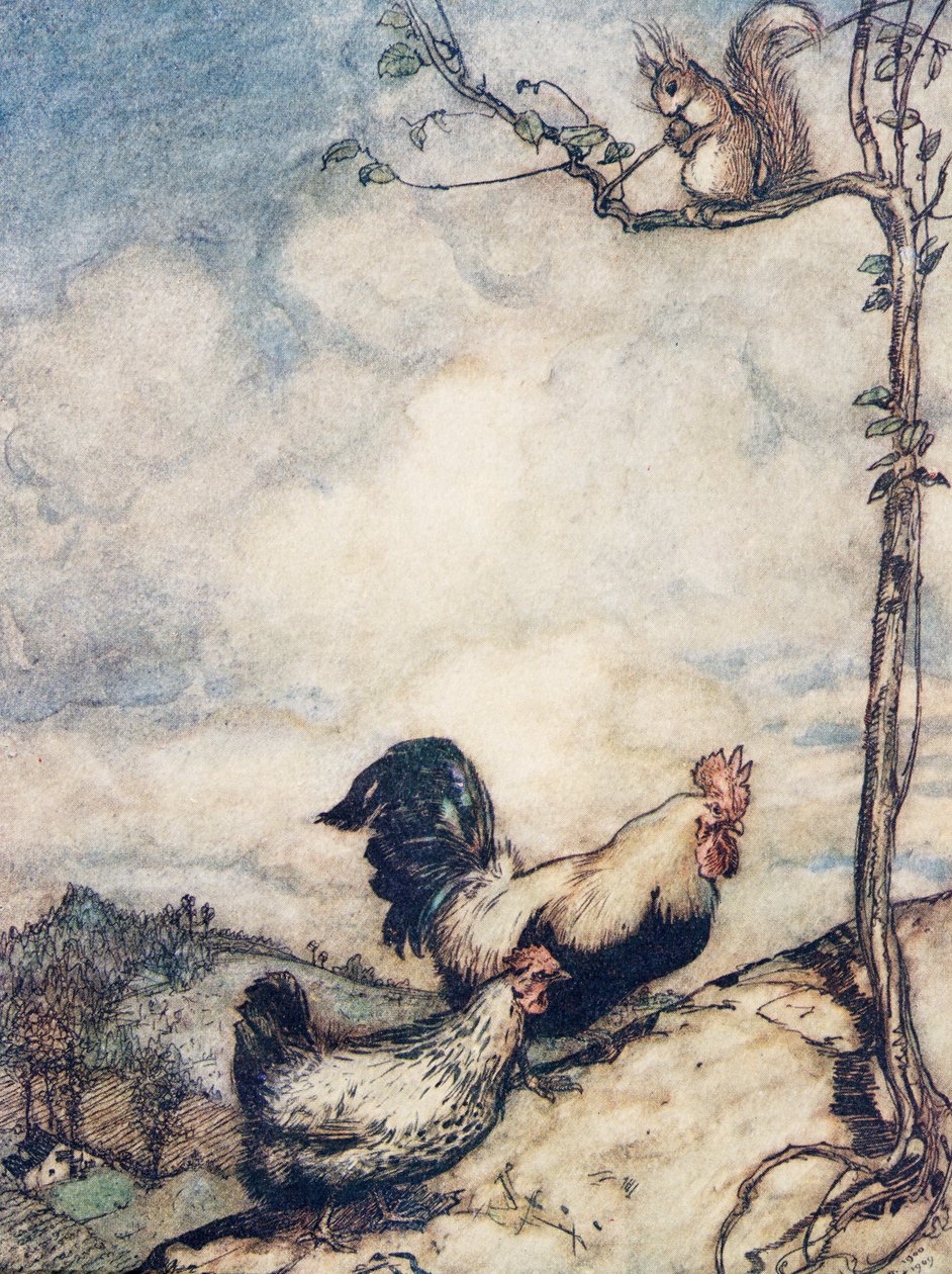 Nå skal vi opp bakken og ha en god fest før ekornet bærer av seg alle nøttene.., fra The Fairy Tales of the Brothers Grimm, pub. 1909 av Arthur Rackham