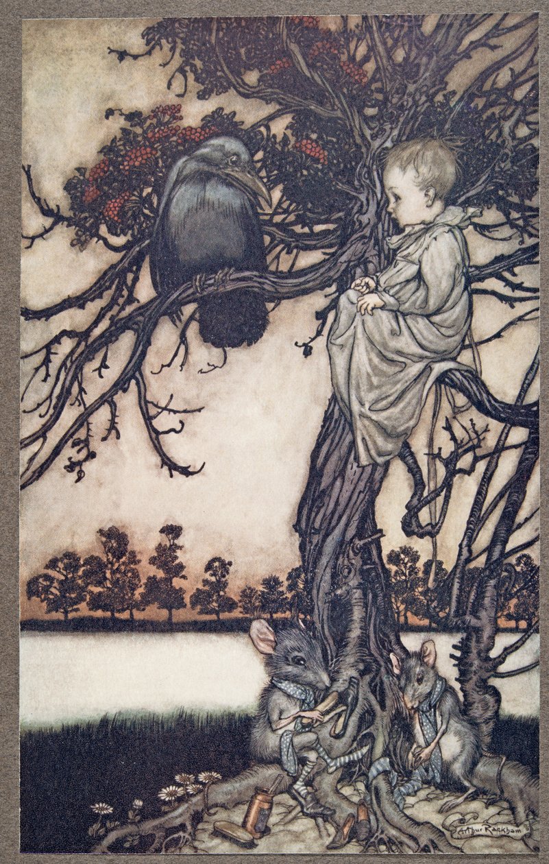 Sett hans merkelige sak foran Old Solomon Caw, fra Peter Pan i Kensington Gardens av J M Barrie (1860 - 1937), pub. 1906 av Arthur Rackham