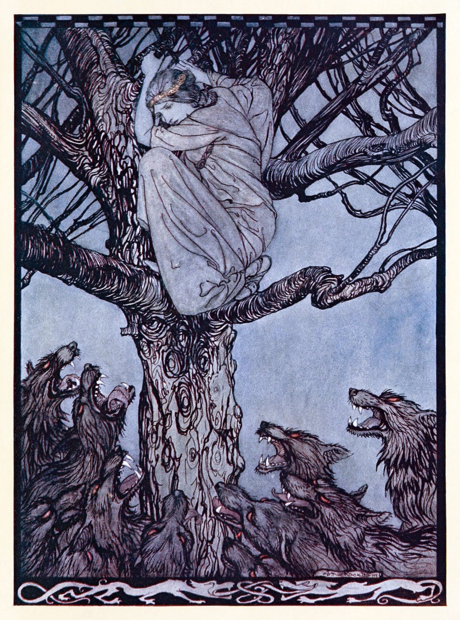 Hun så med sint ve på den anstrengende og snerrende horden nedenfor. fra The Wooing of Becfola in Irish Fairy Tales av Arthur Rackham