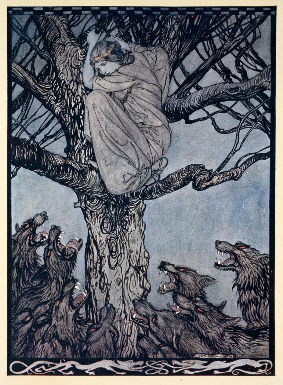 Hun så med sint ve på den anstrengende og snerrende horden nedenfor, illustrasjon fra 'Irish Fairy Tales' av James Stephens av Arthur Rackham