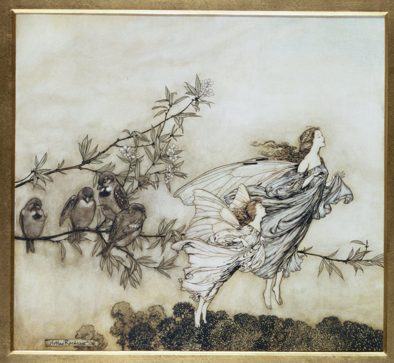 The Fairies har sin Tiff with the Birds, illustrasjon fra 1906 for Peter Pan i Kensington Gardens av J.M. Barrie, pub. 1906 (blekk og wc) av Arthur Rackham