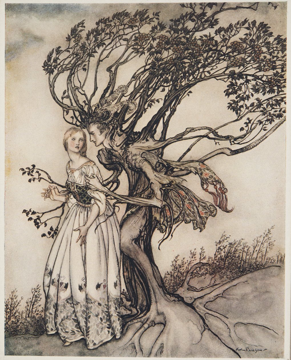 The Old Woman in the Wood, fra Little Brother & Little Sister and Other Tales av brødrene Grimm, pub.1917 av Arthur Rackham