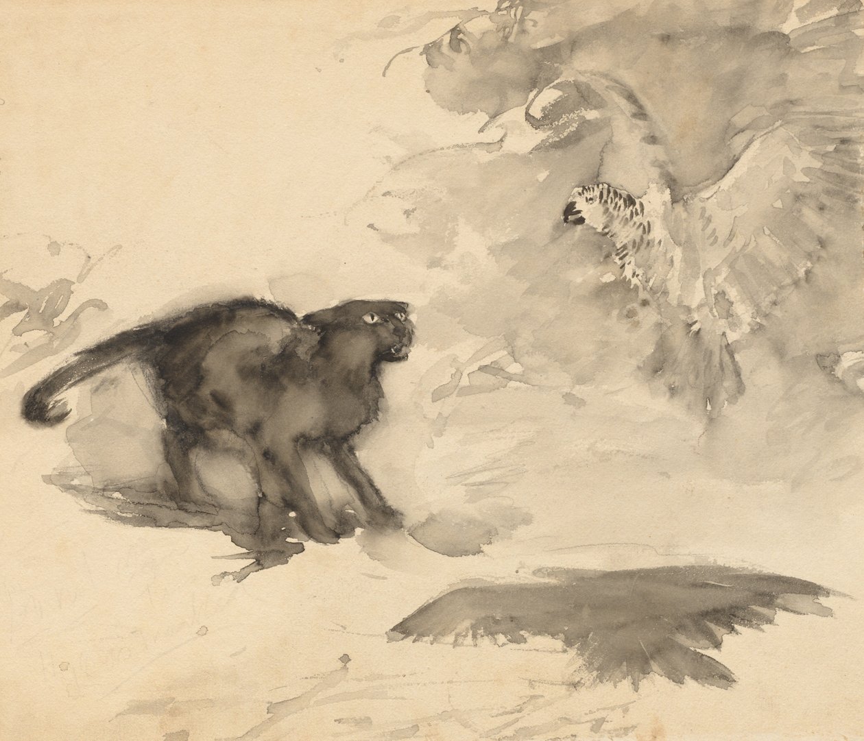 Papegøyen og katten (skisse for "God natt" av Eleanor Gates) av Arthur Rackham