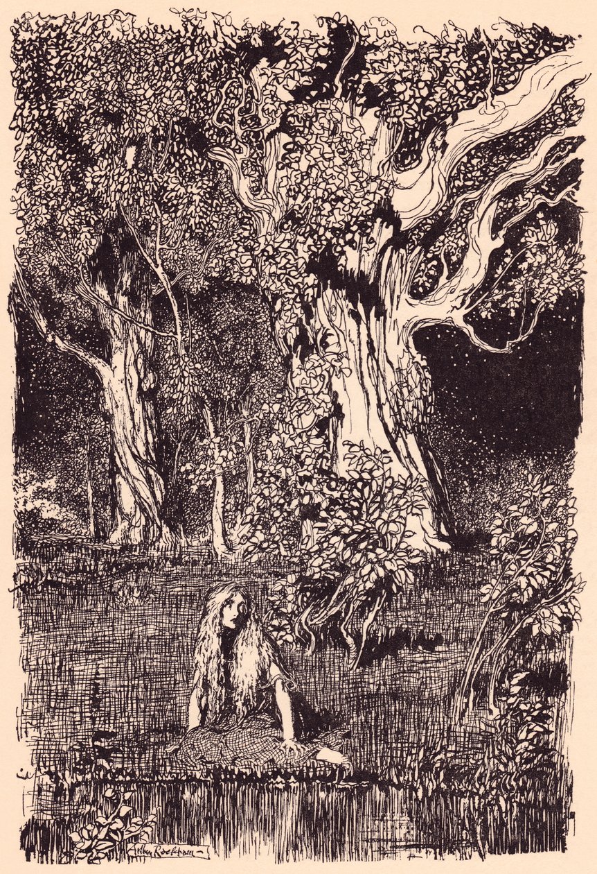 Der satt hun og ville blitt sittende lenge om det ikke hadde vært et rasling og sprekk i grenene på det nærmeste treet. Illustrasjon av Arthur Rackham fra Grimm