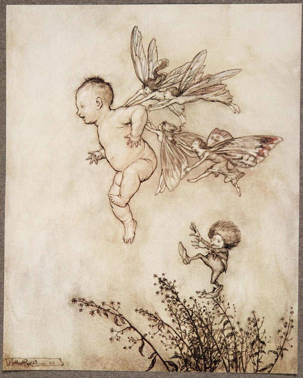 De kilte ham alle sammen på skulderen .. , fra Peter Pan i Kensington Gardens av J M Barrie (1860 - 1937), pub. 1906 av Arthur Rackham
