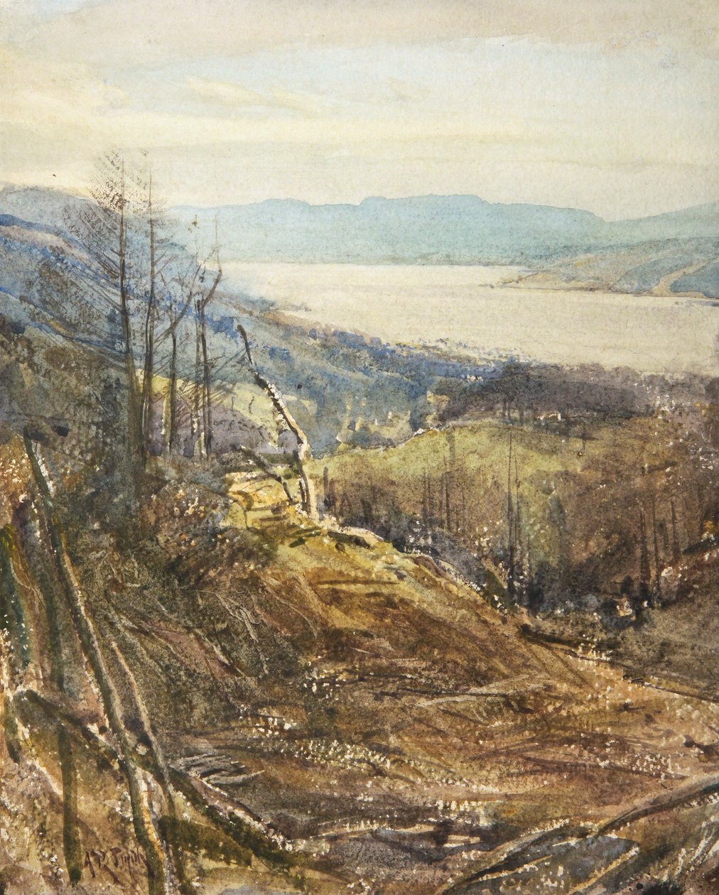 Coniston fra nær Tarn Hows (akvarell) av Arthur Reginald Smith