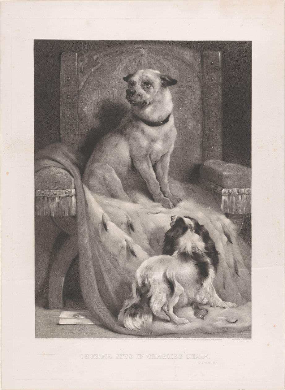 Hond op een hermelijnen mantel op een troon Geordie sits in Charlies chair (title on object)   1364605   no       norwegian Successfully Translated  Original: The Visitation, from The Life of the Virgin Translat: The Visitation, from The Life of the Virgin av Arthur Turrell