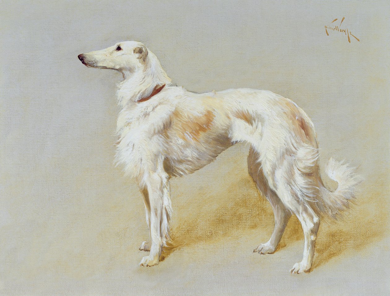 En Borzoi-hund (olje på lerret) av Arthur Wardle