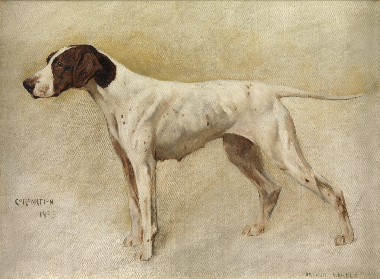 Kroning av Arthur Wardle