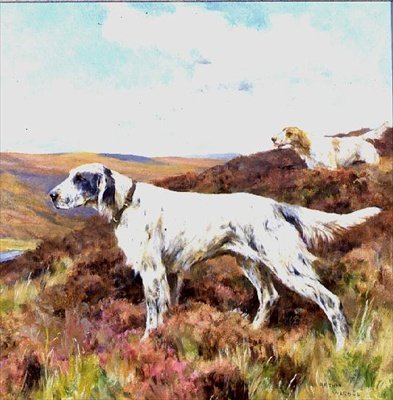 Engelske settere (olje om bord) av Arthur Wardle