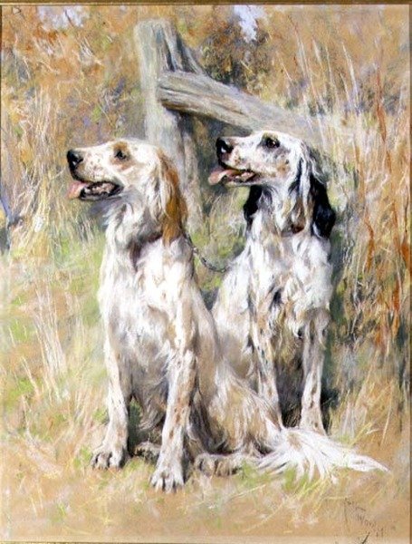 Engelske Setters av en Stile av Arthur Wardle