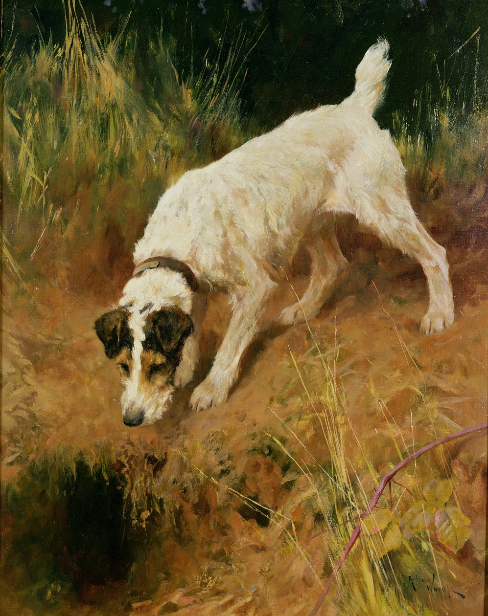 Fox Terrier av Arthur Wardle