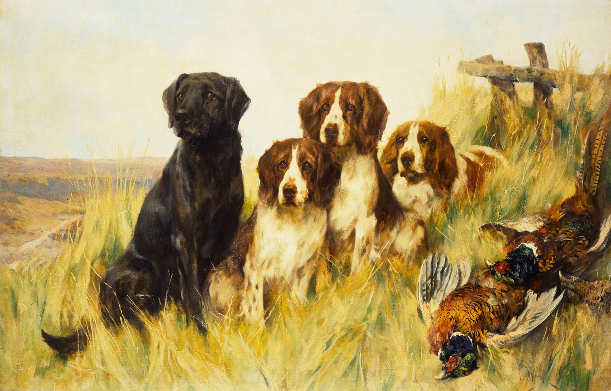 Looking Ahead (olje på lerret) av Arthur Wardle