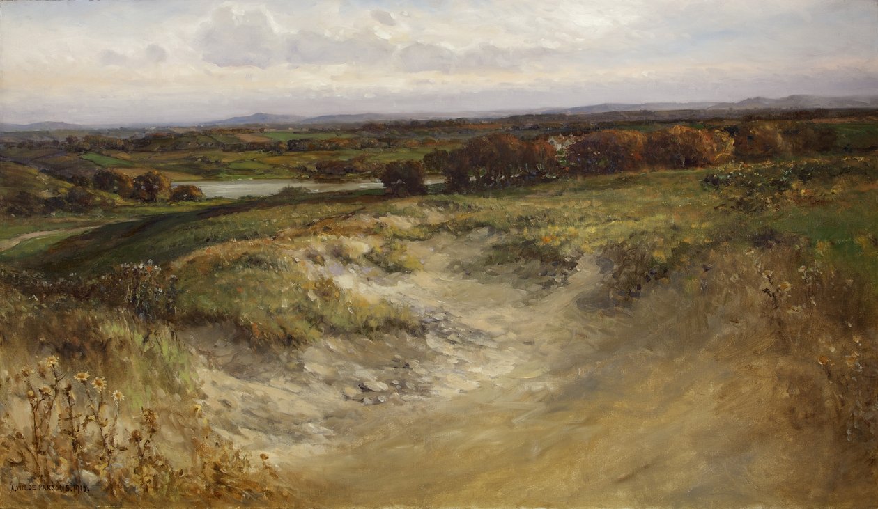 Landskap; tidligere brukt som bakgrunn i en Naturhistorisk montre av Arthur Wilde Parsons