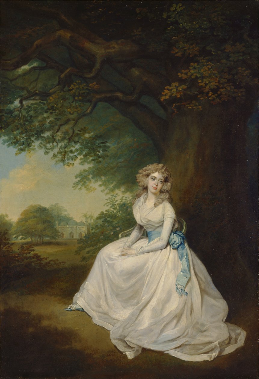 Lady Chambers av Arthur William Devis