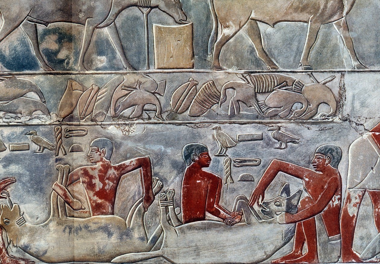 Kunst Egypt: sonde fra en hyene. College ligner på Mastaba av Mereruka. av Artist Unknown
