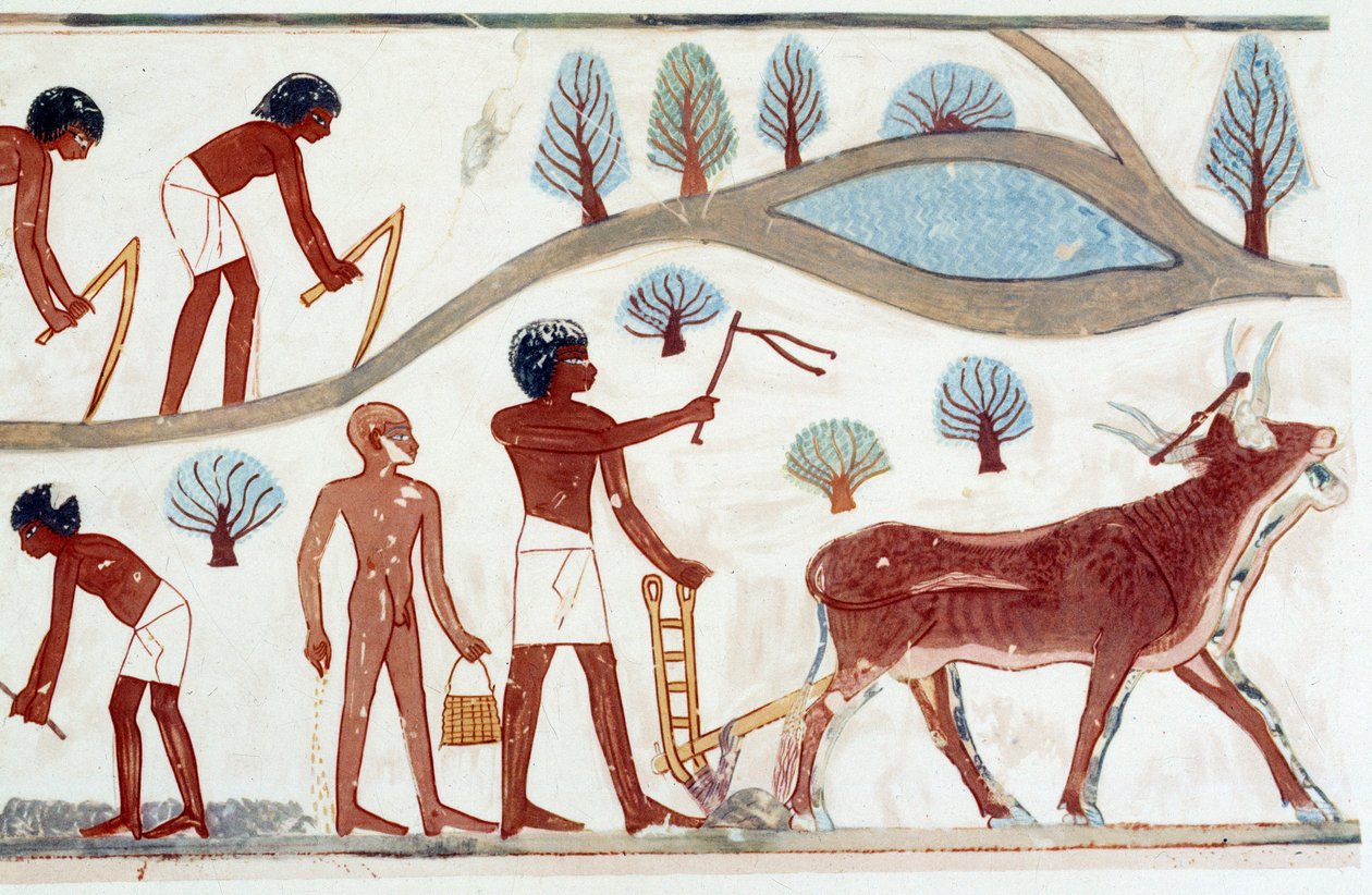 Kunst i Egypt: pløyescene. Faksimile av fall fra Nakht, Amenofis IIs periode (ca. 1450–1425) av Artist Unknown