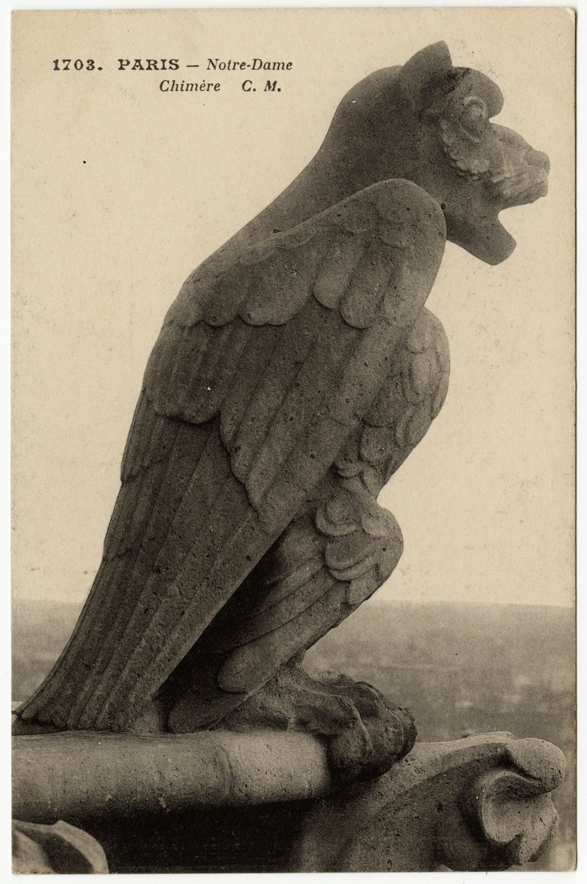 Gargoyle eller kimære fra katedralen Notre Dame de Paris, bygget mellom 1163 og 1300-tallet - Postkort, Selva-samlingen av Artist Unknown