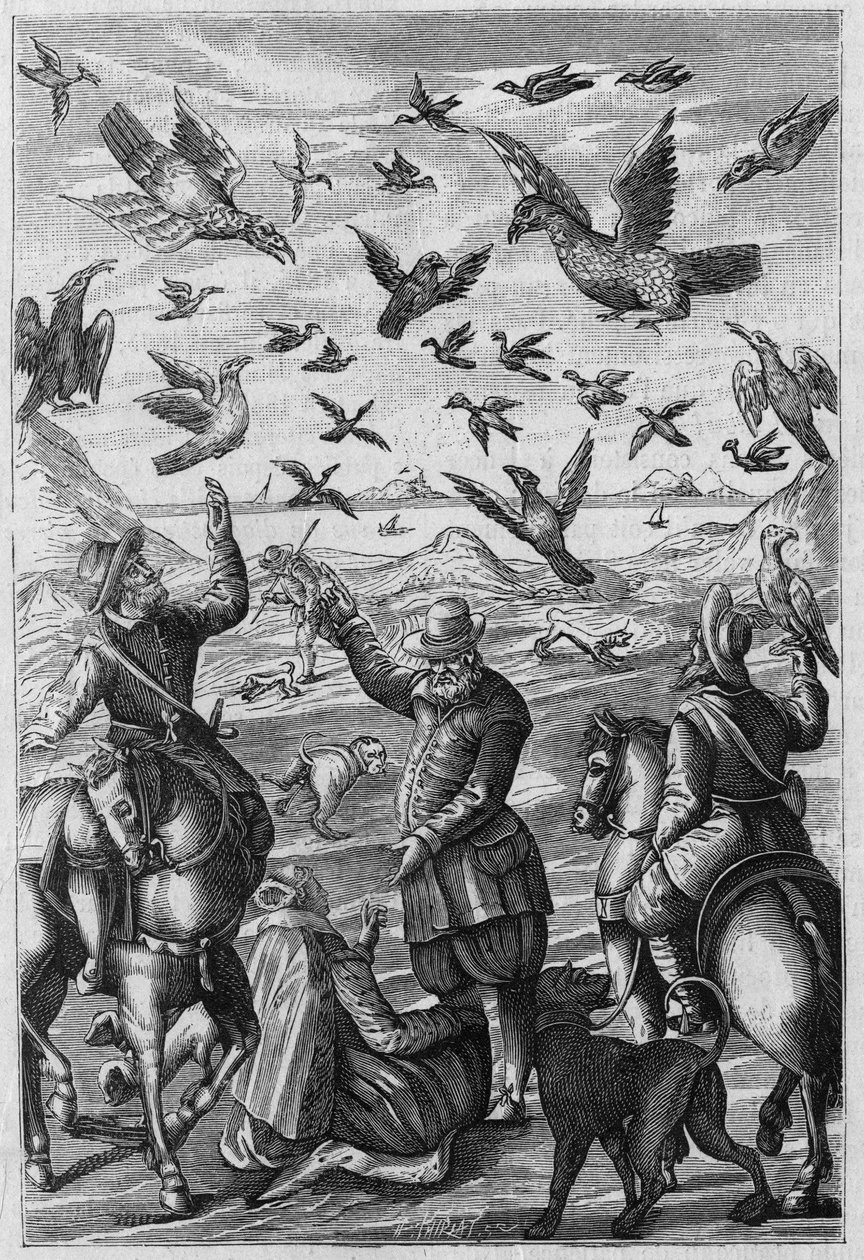 Illustrasjon for «Nature: journal of sciences and their applications to the arts and industry» 1886 (trykk) av Artist Unknown