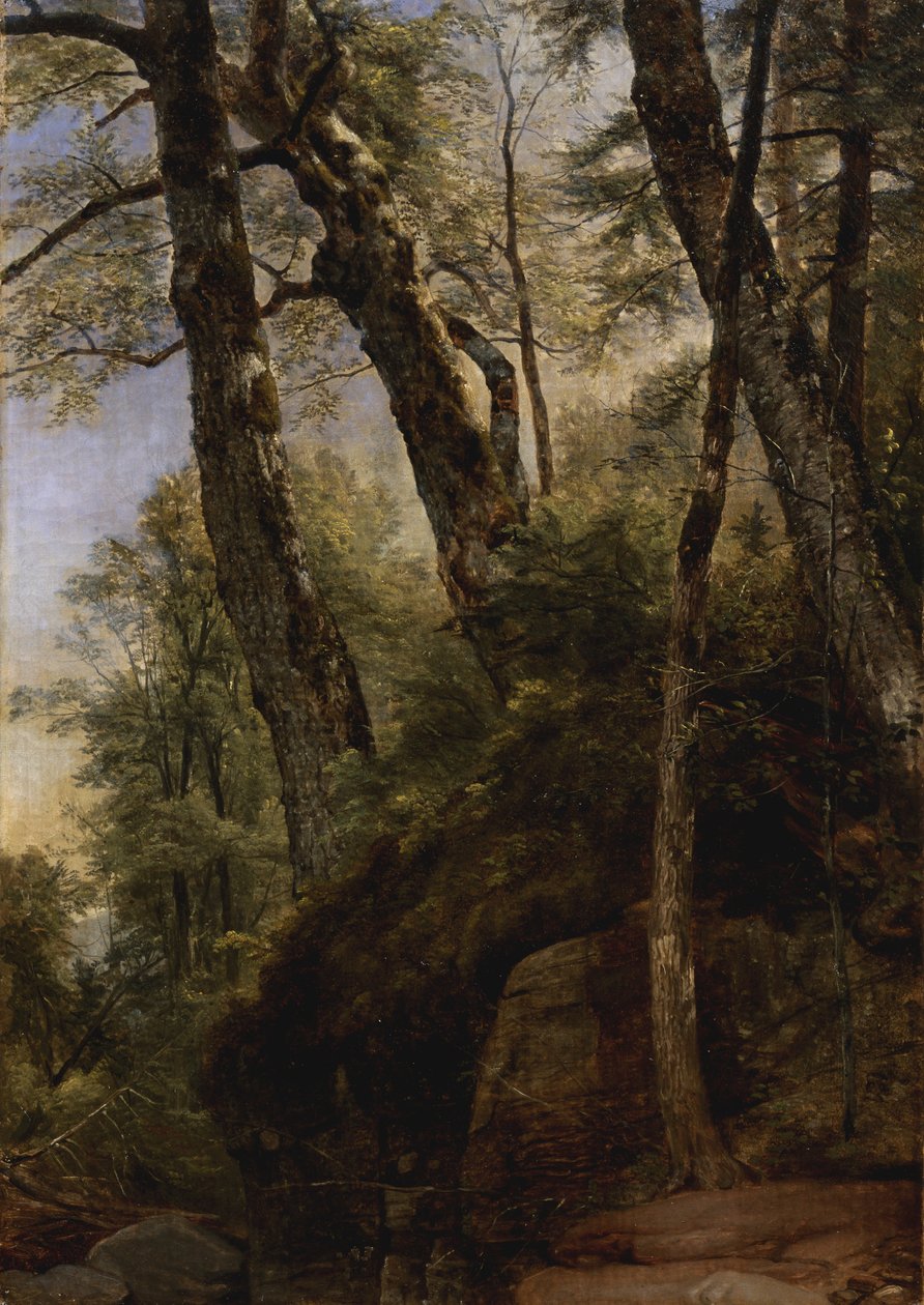 Black Birches, Catskill Mountains, 1860 av Asher Brown Durand