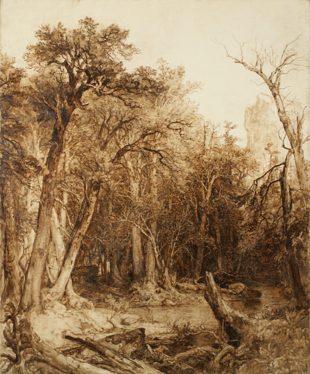Urskog, 1854 (olje på forhåndsgrunnet lerret) av Asher Brown Durand