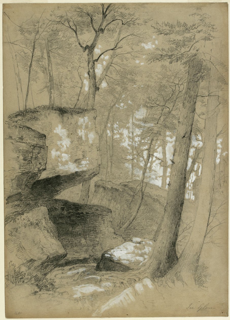 Studer steiner og trær i Ice Glen, Stockbridge, Massachusetts, 1851 (grafitt og hvit gouache på beige papir) av Asher Brown Durand