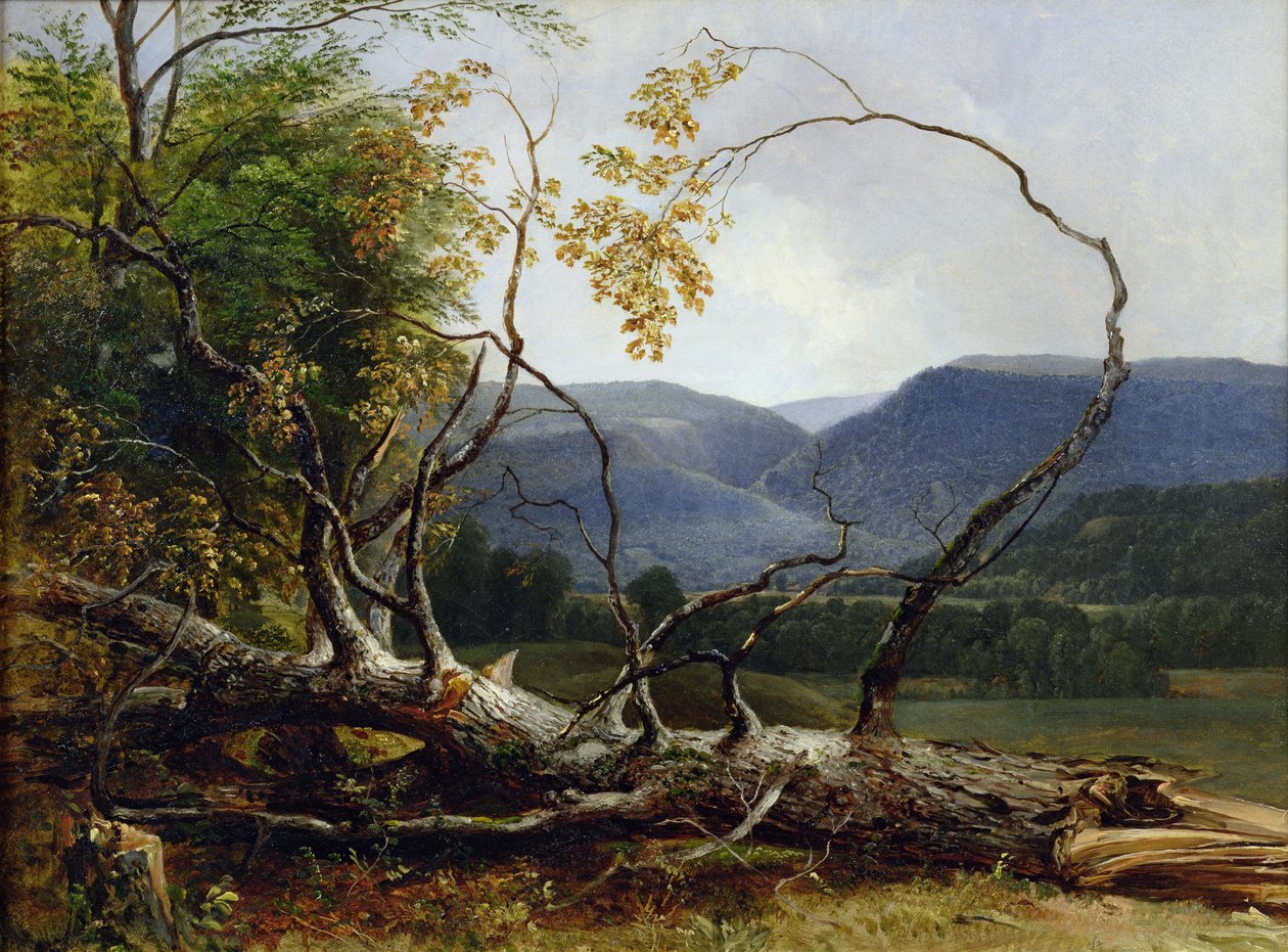 Studie fra Nature, Stratton Notch, Vermont, 1853 av Asher Brown Durand