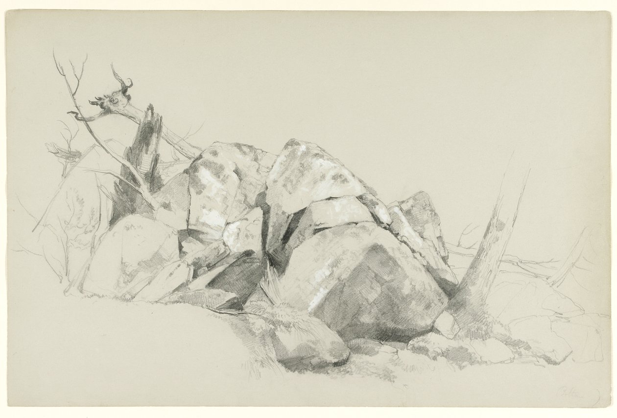 Study of Rocks, 1863 (grafitt og hvit gouache på grått papir) av Asher Brown Durand