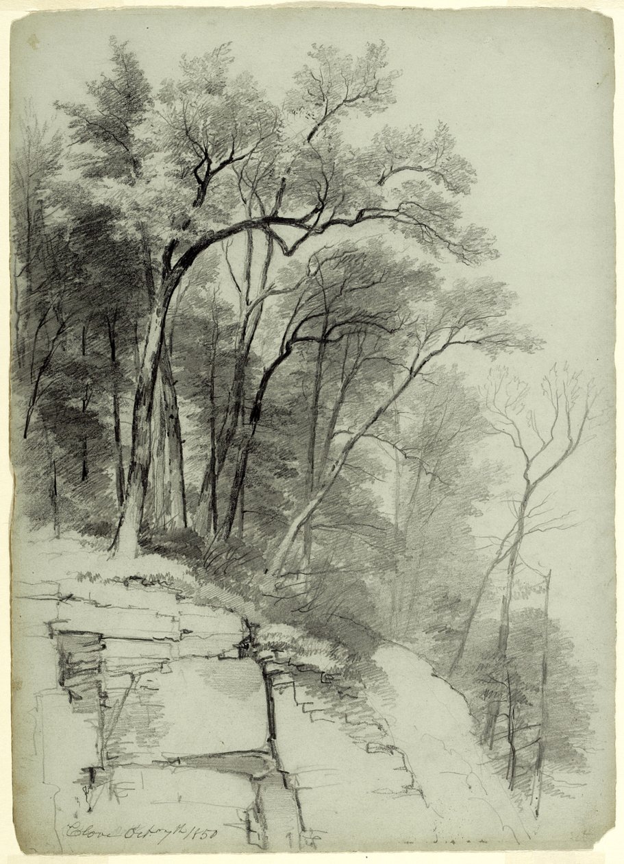 Study of Trees and Rocks, Catskill Clove, New York, 1850 (grafitt på grågrønt papir) av Asher Brown Durand