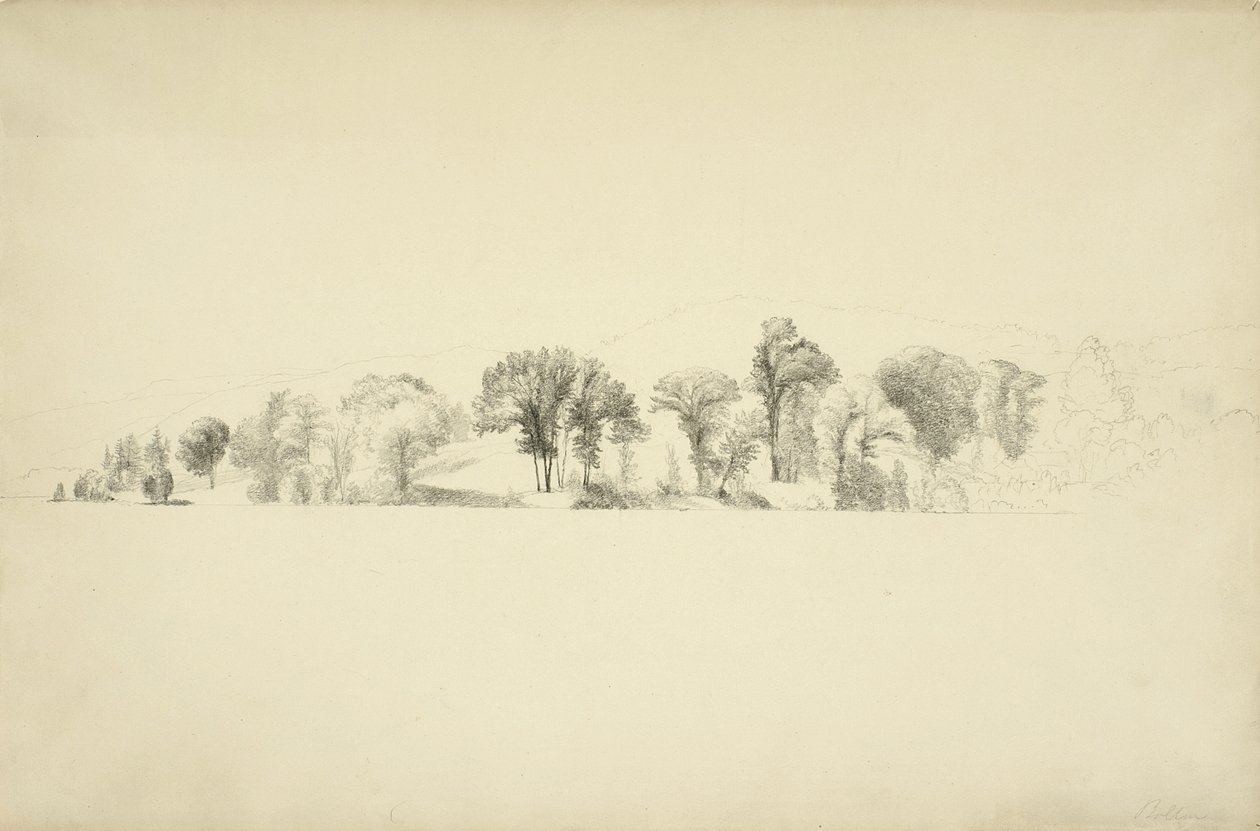 Trær ved bredden av Lake George, Bolton, New York, 1863 (grafitt på papir) av Asher Brown Durand
