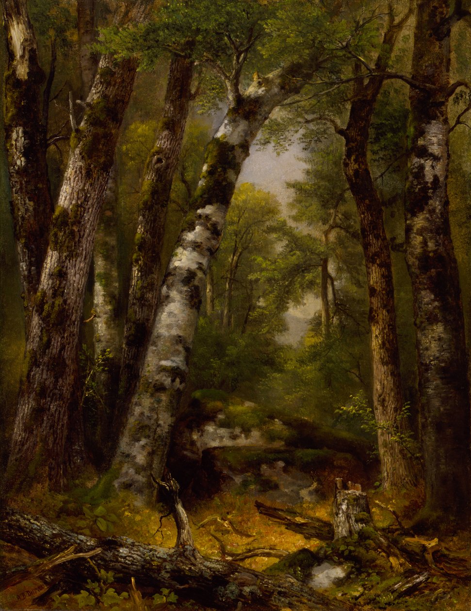  av Asher B. Durand