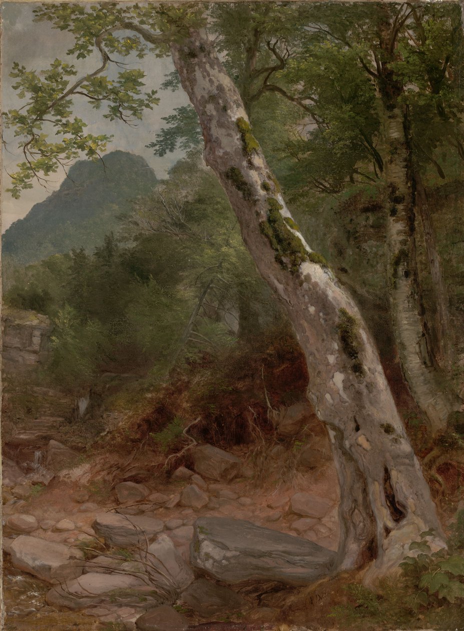 Et platanlønn-tre, Plaaterkill Clove (Platanlønnen, Kaaterskill Clove) av Asher Brown Durand