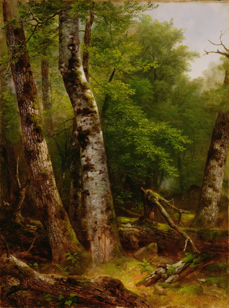 Bjørk og lønn, 1855 av Asher Brown Durand